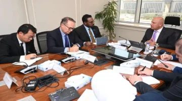 استثمارات صينية ضخمة.. خطة التوسع لشركة إيليت سولار في السوق المصري